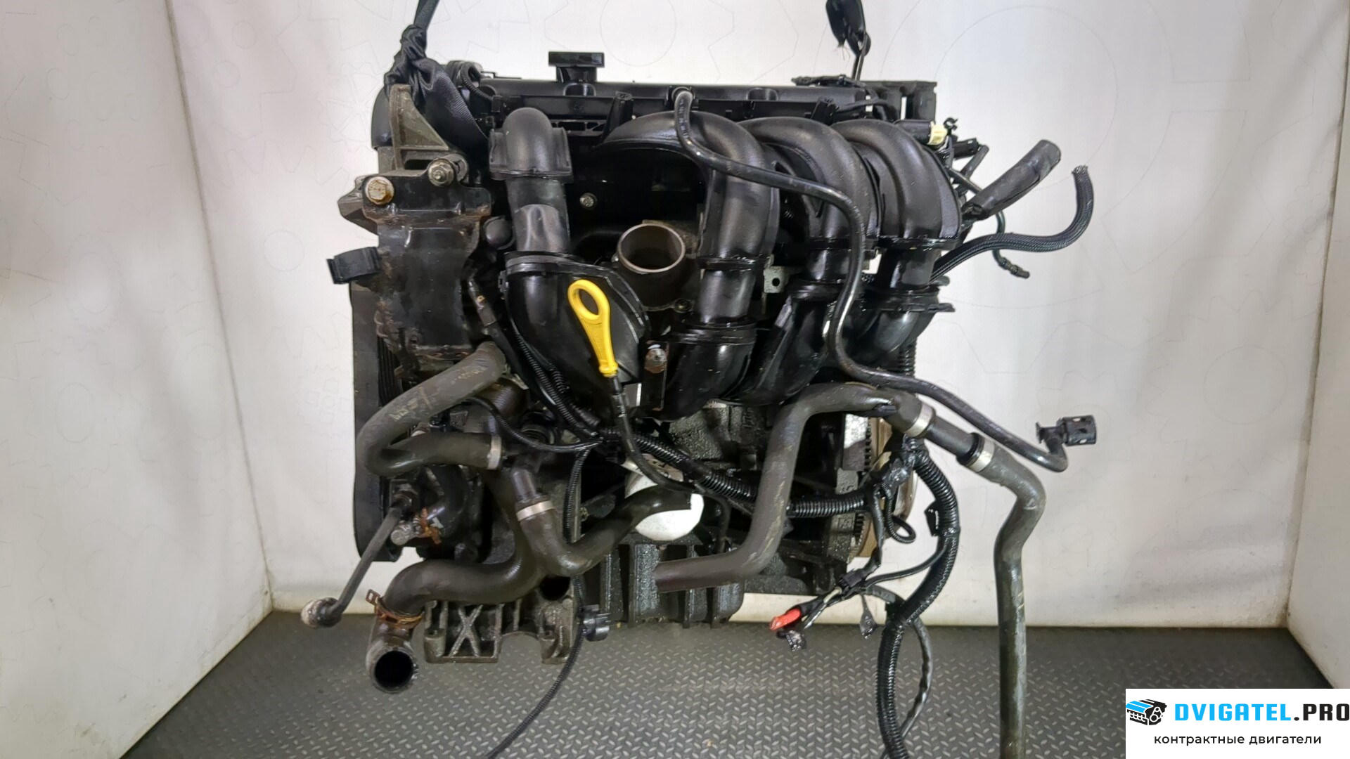 Двигатель Ford Focus 2 2008 - 2011 SHDA, SHDC 1.6 л., Бензин, Инжектор, артикул 9249643