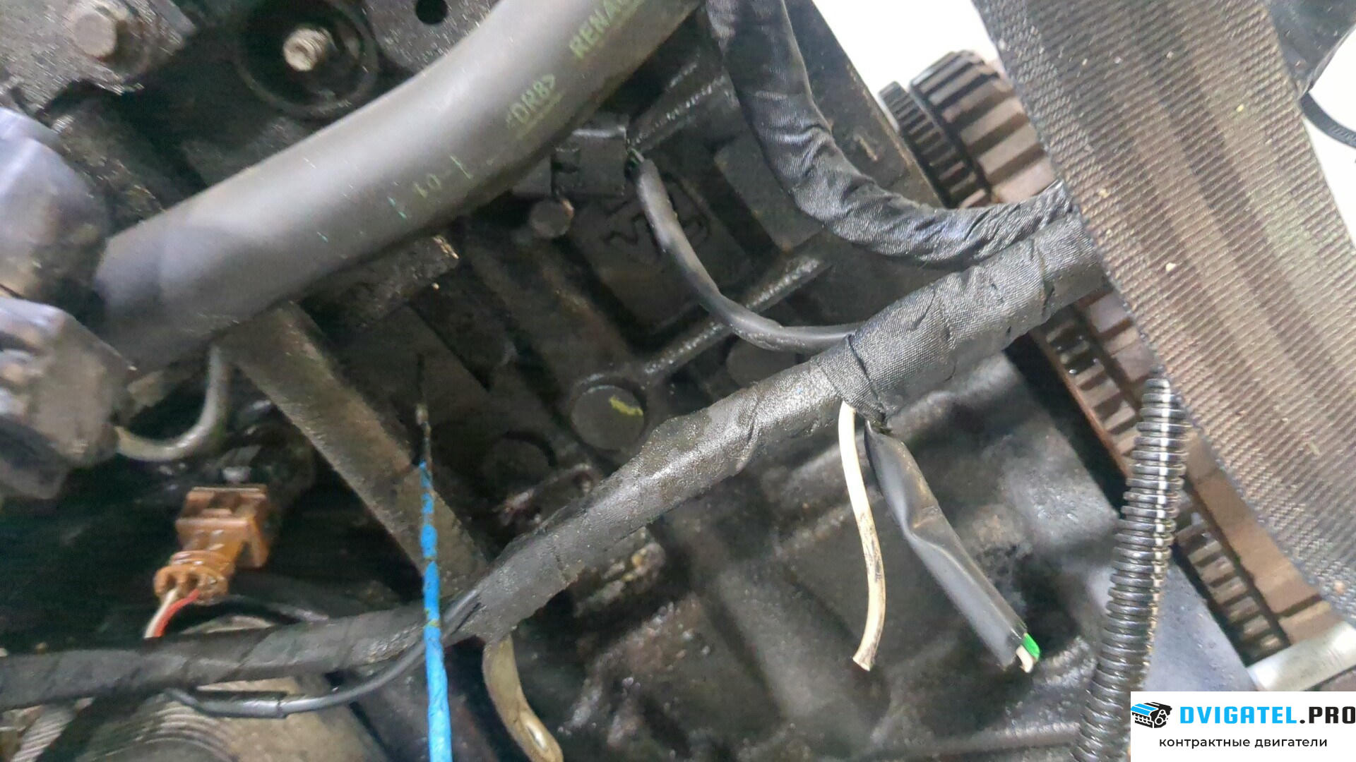 Двигатель Renault Modus K9K 766 1.5 л., Дизель, DCI, артикул 9277772