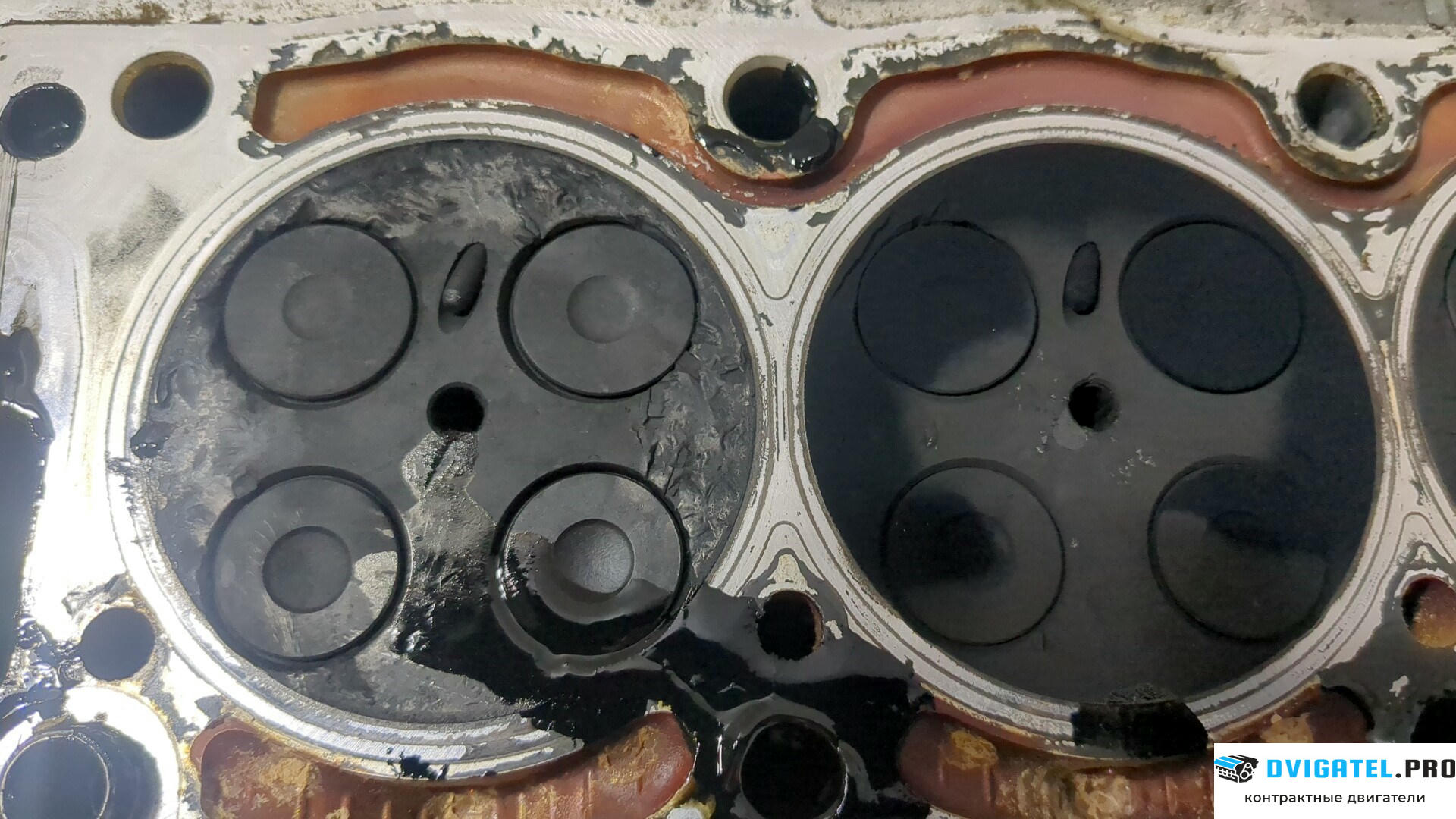 Головка блока цилиндров (ГБЦ) Land Rover Freelander 2 2007 - 2014 224DT 2.2 л., Дизель, Турбо, артикул 9143248