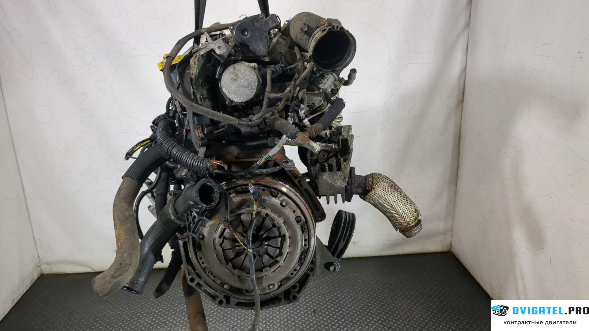 Двигатель Nissan Qashqai 2006 - 2013 K9K 1.5 л., Дизель, DCI, артикул 8831342