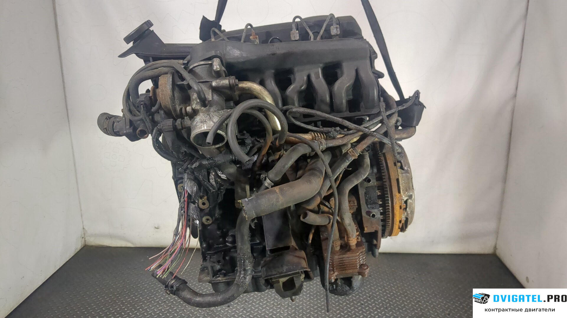 Двигатель Ford Transit 2000 - 2006 D2FA, D2FB, D2FE 2.4 л., Дизель, TDDI, артикул 9014871