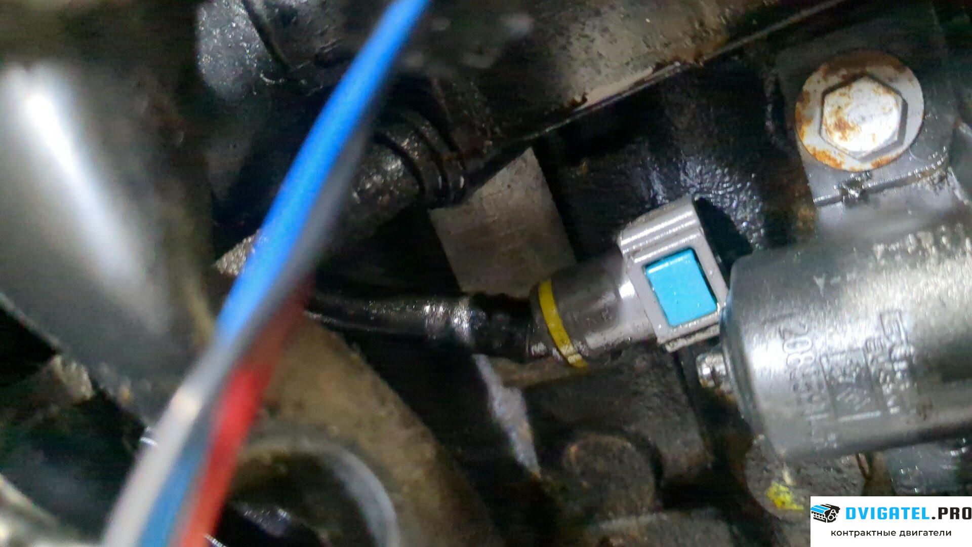 Двигатель Nissan Note E11 2006 - 2013 K9K 1.5 л., Дизель, DCI, артикул 9238762